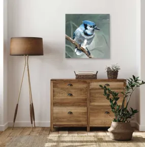 Avian Spotlight - Blue Jay Canvas Wall Art